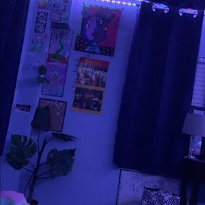 Meet your Posher, Carmen